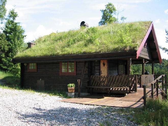 Kynnefjallsnatur