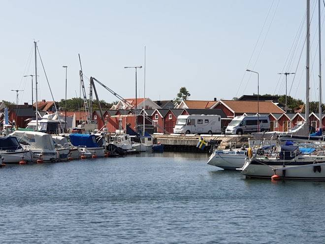 Havskatten