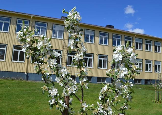Kalvs skolhus