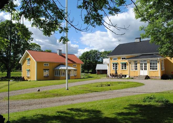 Hallstad Islandshastar Image