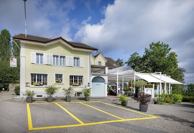 Seehotel hallwil