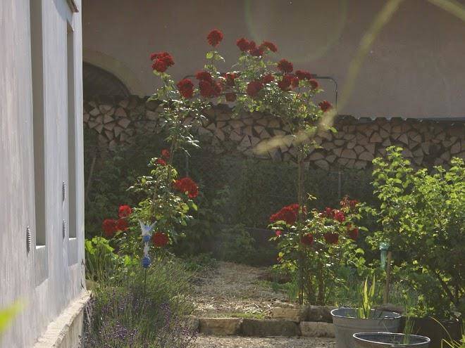 Carpe diem bnb chambre d'hotes pery
