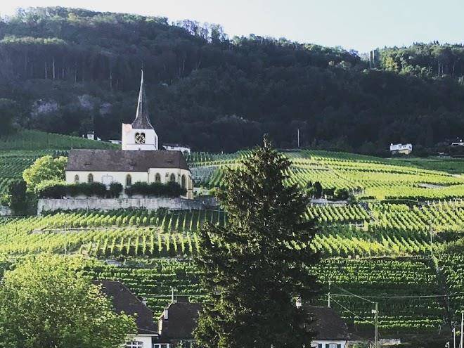 Restaurant kreuz & see bistro ligerz
