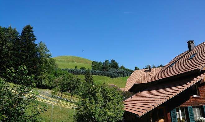 B&b tannen124