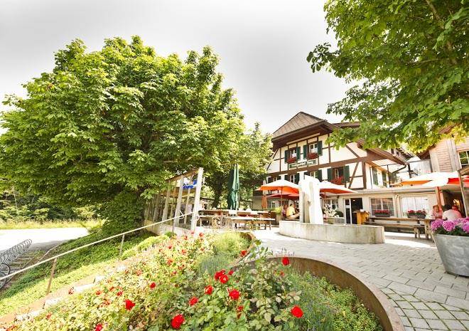 Landgasthof Und Seminarhotel Lueg Image