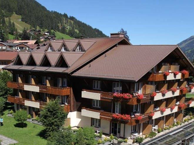 Hotel Steinmattli Image