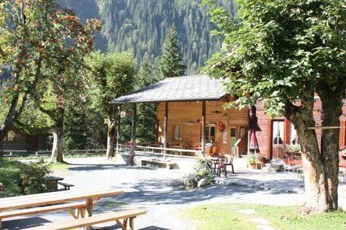 Steinbock Im Gasterntal Image