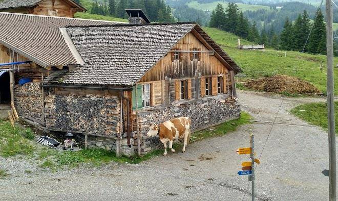 Berghaus alpiglen