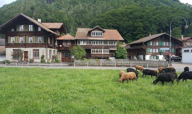 Hotel christina