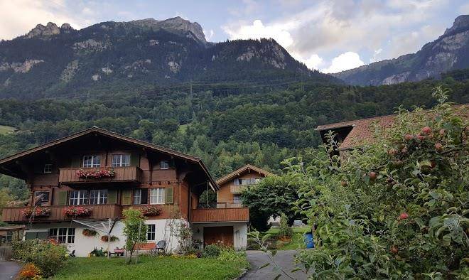 Hotel falken