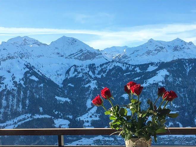 Hotel Gloria Schmockenstrasse Image