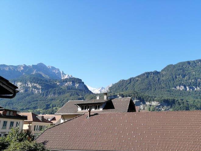 Hotel hasli lodge