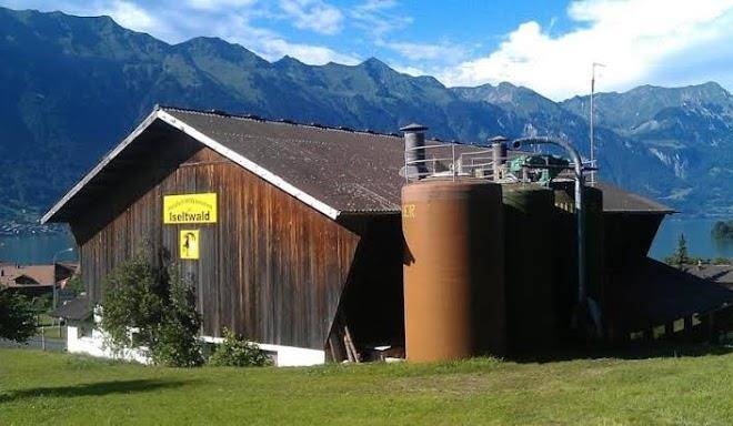 Schiltenhof Schlafen Im Stroh Image