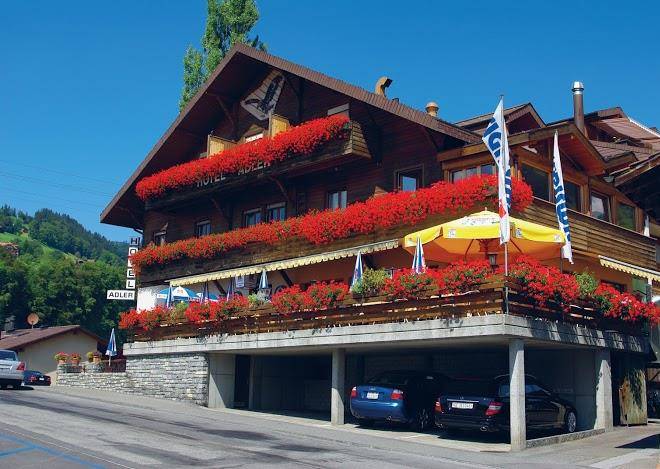 Hotel Adler Image