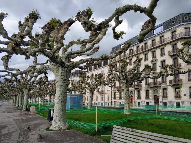 Hotel d'alleves