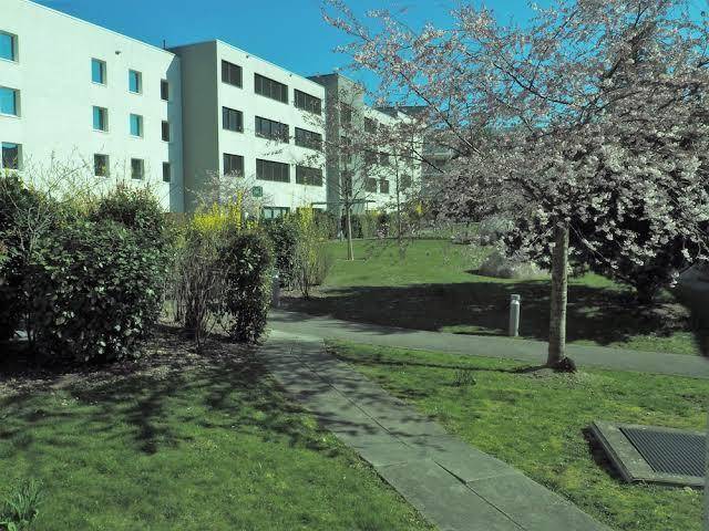 Ibis budget geneve petit lancy