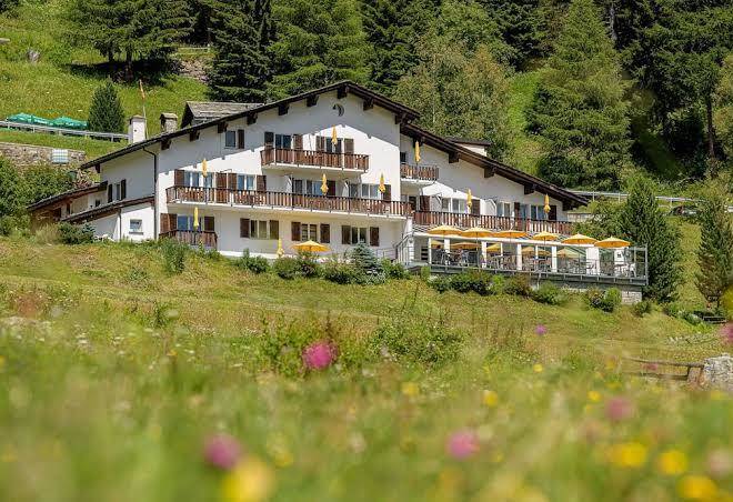 Hotel zarera