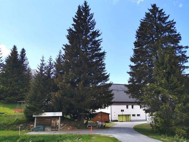 Kiwi lodge