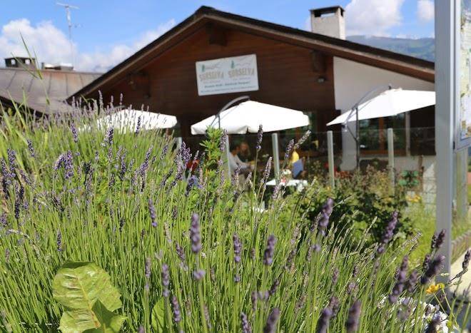 Hotel restaurant surselva