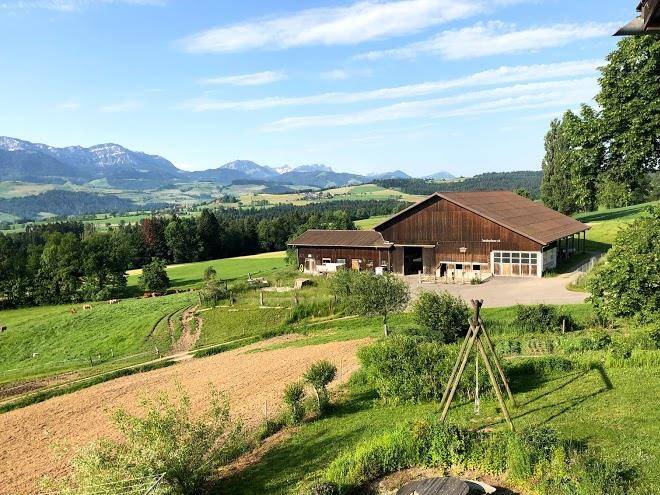 Huobschur