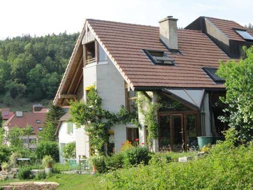 La maison elzingre
