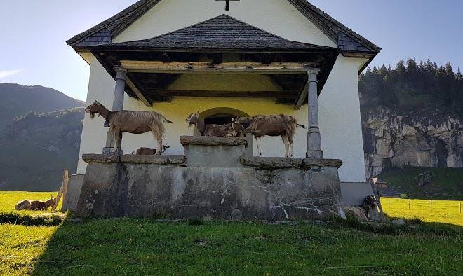 Gasthaus alggialp