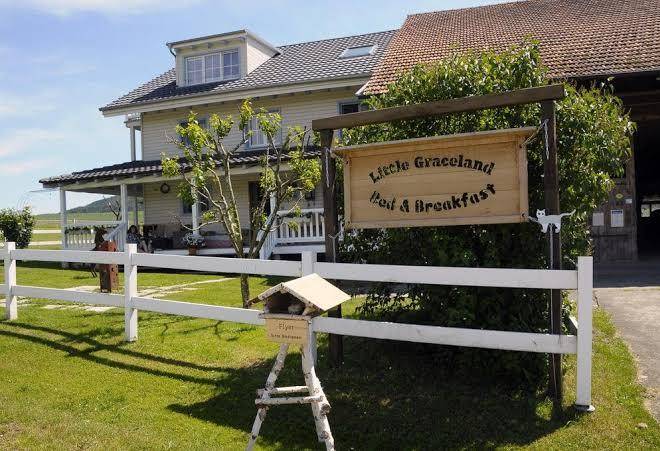 Little graceland