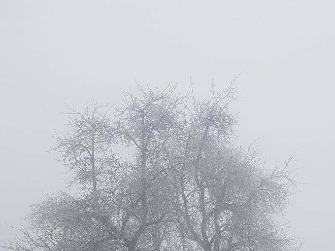 Erlebnis bauernhof schlafen im stroh