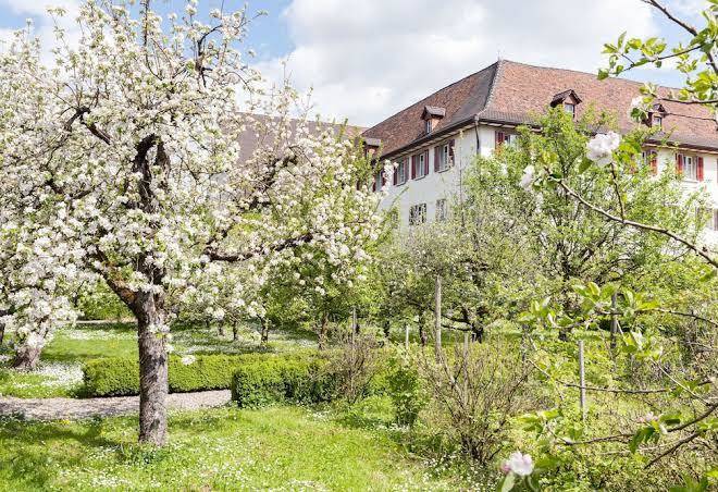 Hotel kloster dornach