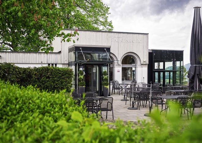 Falkenburg Image