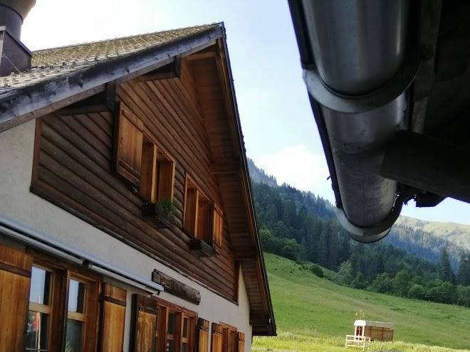 Alp siez