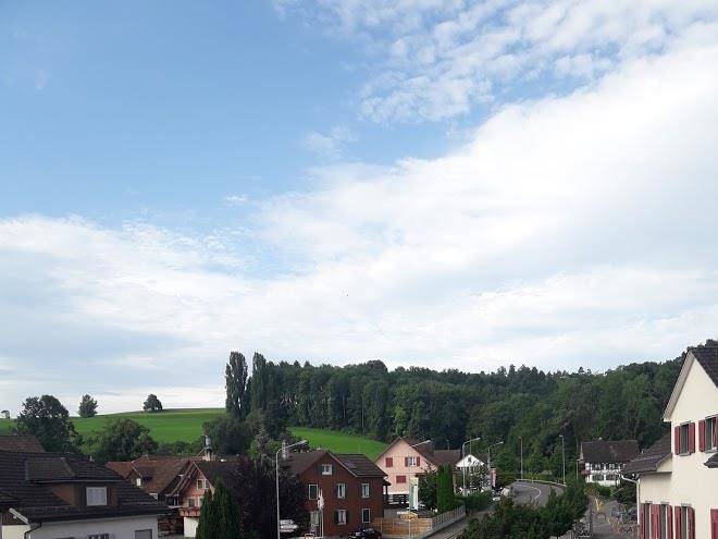 Gasthof zur traube
