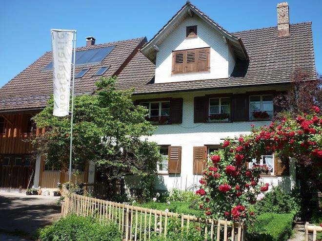 Mostgalerie i strohhotel bodensee