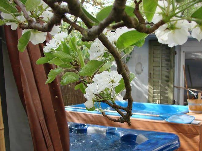 Thai fusion spa kochatelier