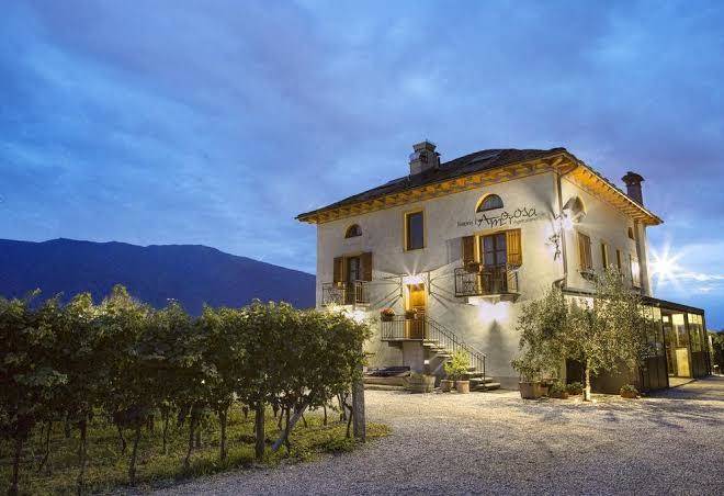 Fattoria l'amorosa