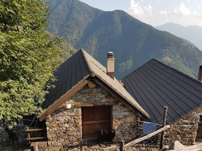 Azienda montana odro