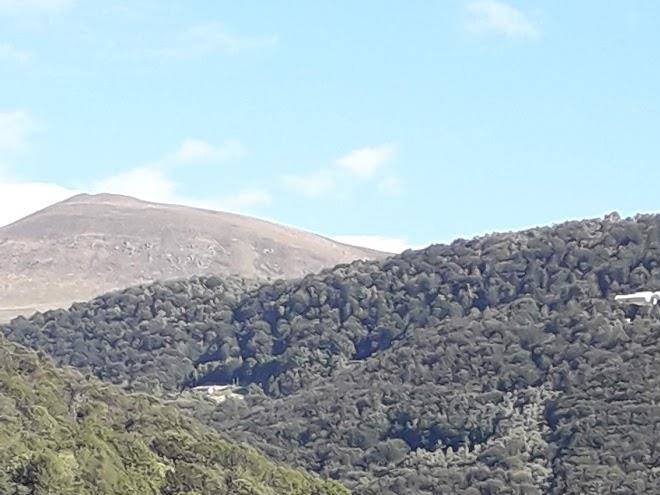 Ristorante Bironico Sagl Image