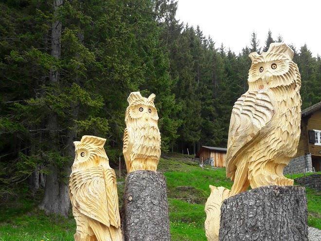Berggasthaus ratzi