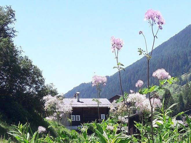Taverne zum guten freund