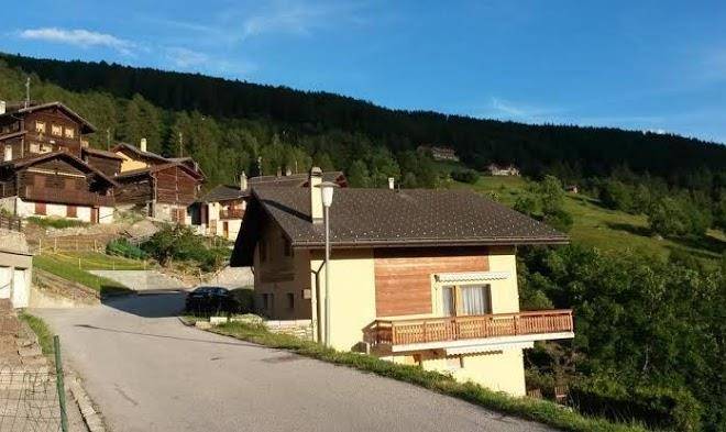 Le merle d'herens