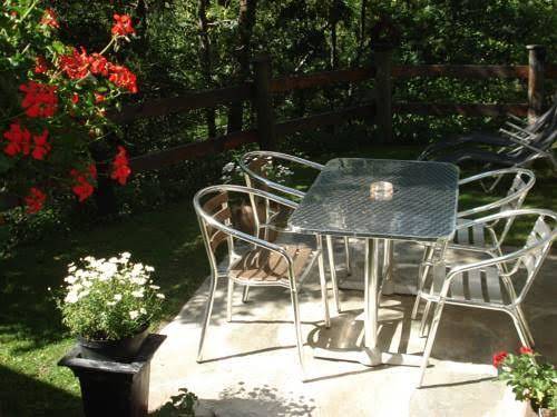 Marmotta Di Montagne Image