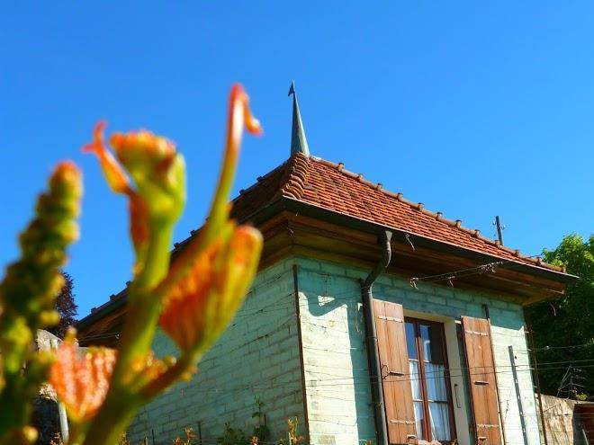 Le vigny