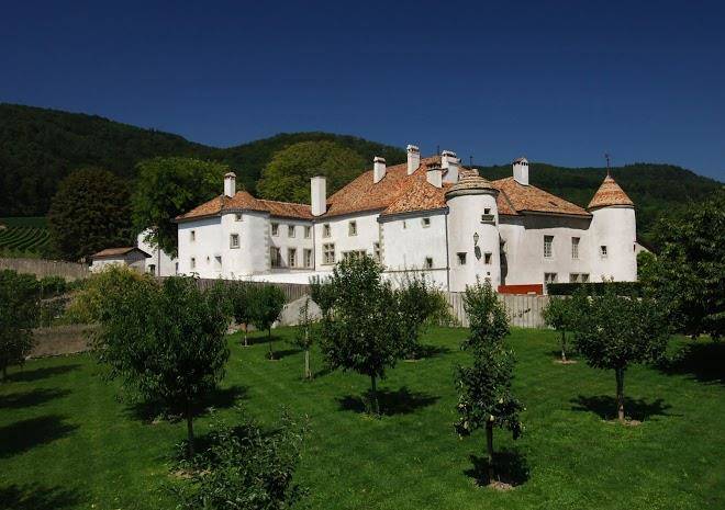 Chateau le rosey sa