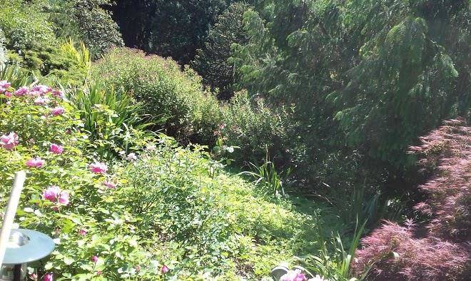 Domaine les sylphides