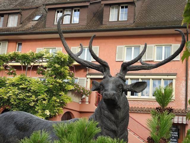 Landhotel Hirschen Image