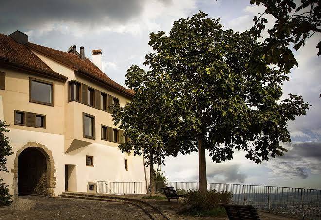 Krone regensberg