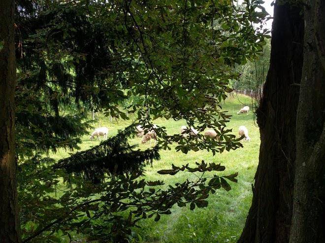 Parques rietberg