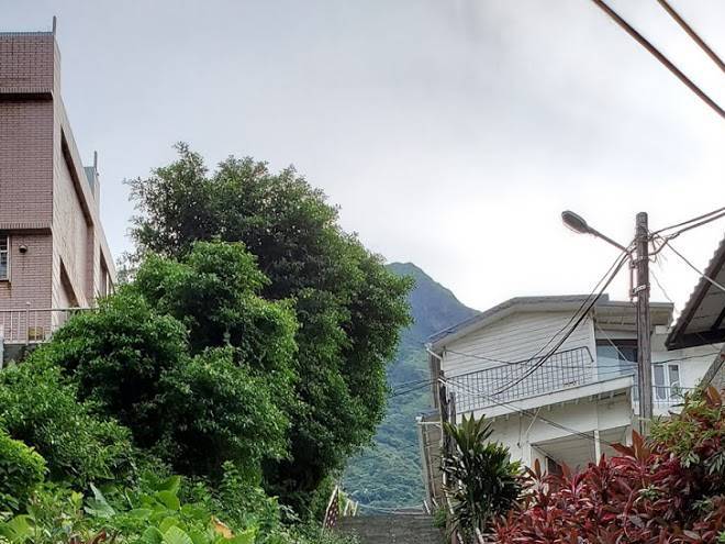 Shueinandong Take A Walk Image