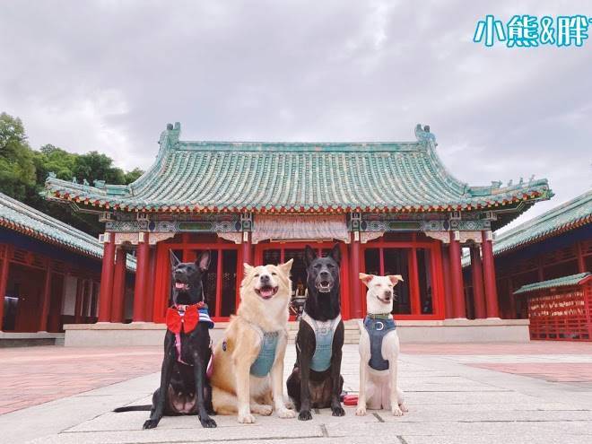 Red Letter Day Image