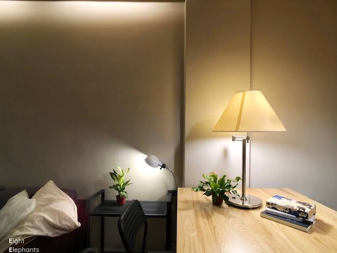 Eight elephants co living